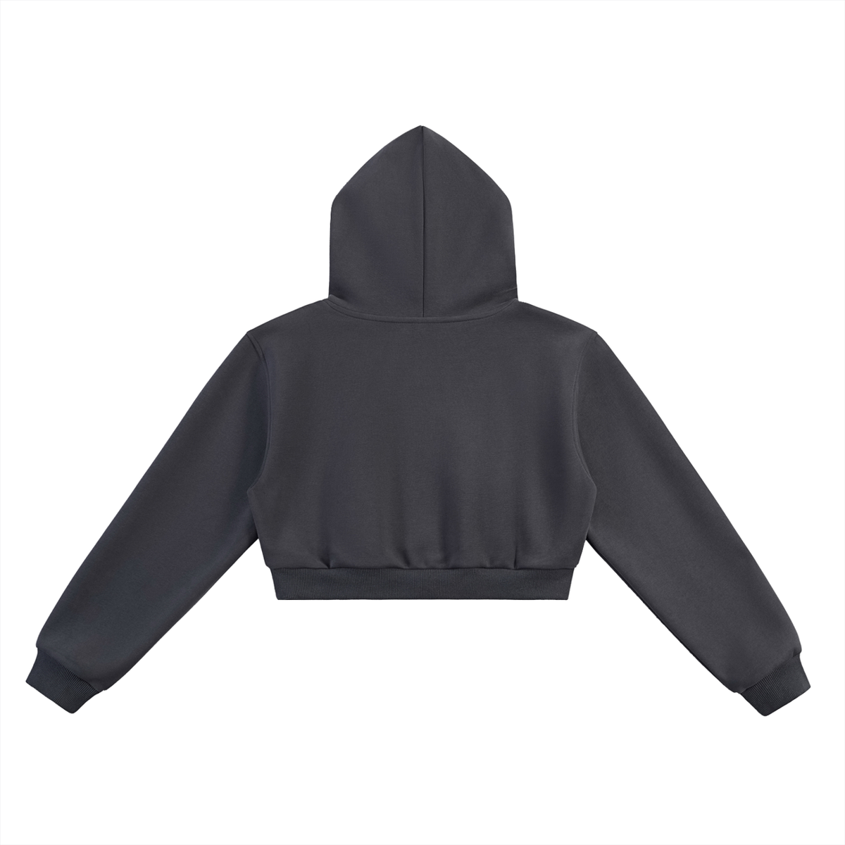 BeeSpoke Classic Cropped Hoodie