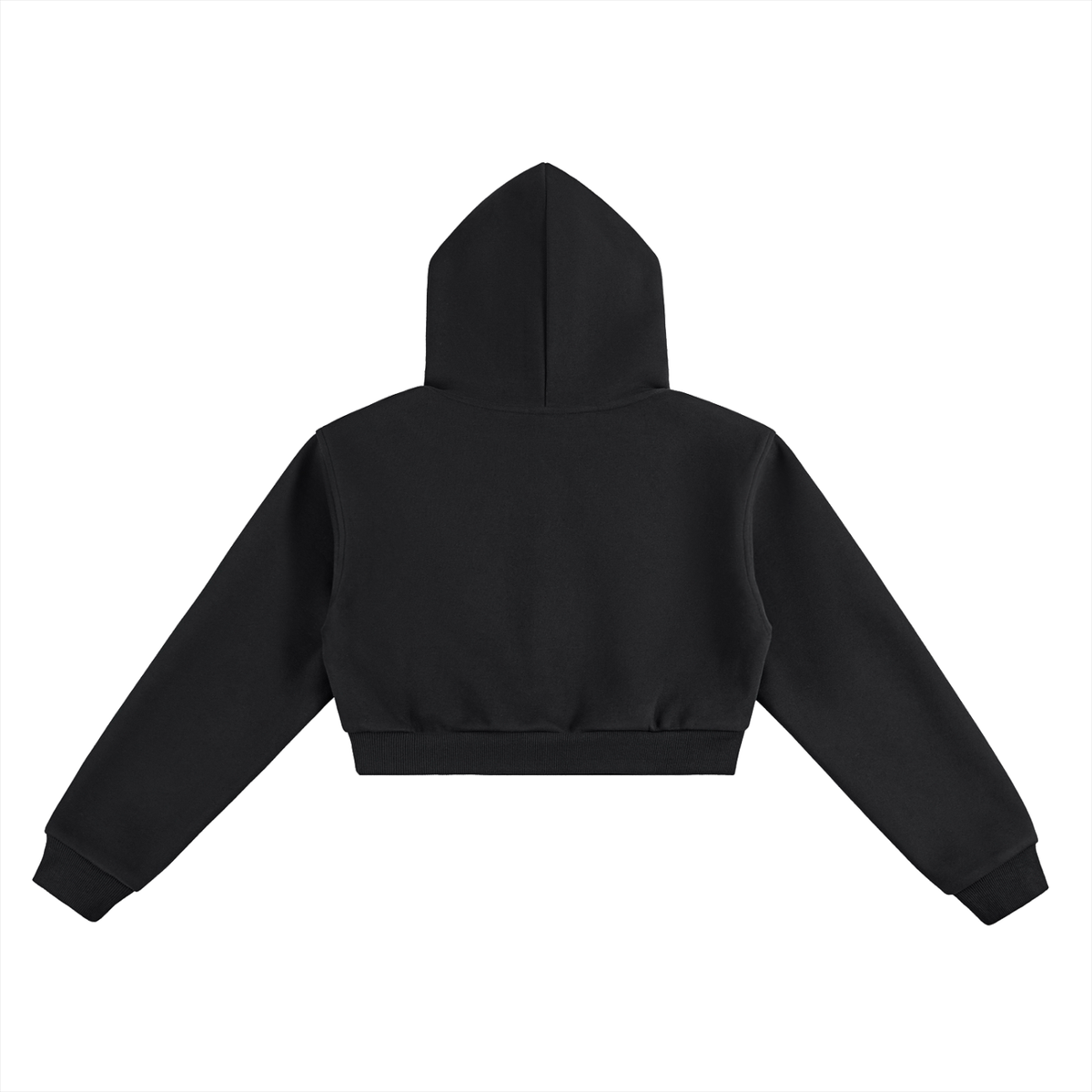 BeeSpoke Classic Cropped Hoodie