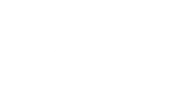 BeeSpoke Book Club 